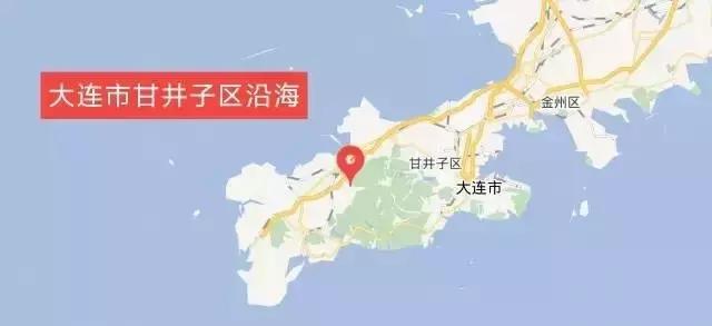 国内看荧光海最好看的地方,世界上最梦幻的荧光海