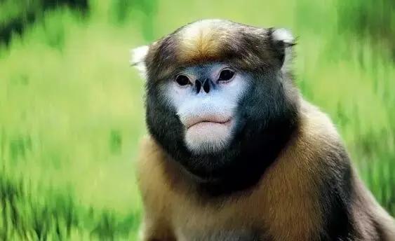 太精辟！一句话形容贵州88区县，看到自己的家乡笑死了！哈哈哈