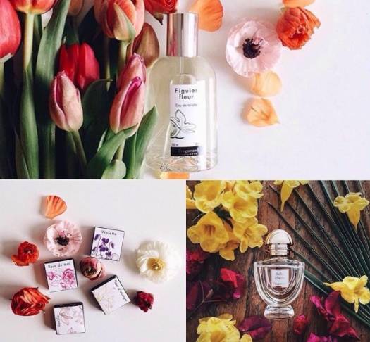 法国香水小镇在哪里,法国原装进口香水香奈儿