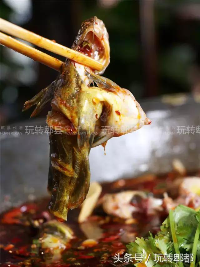 吃遍重庆50家鱼摆摆,吃遍成都50家鱼摆摆