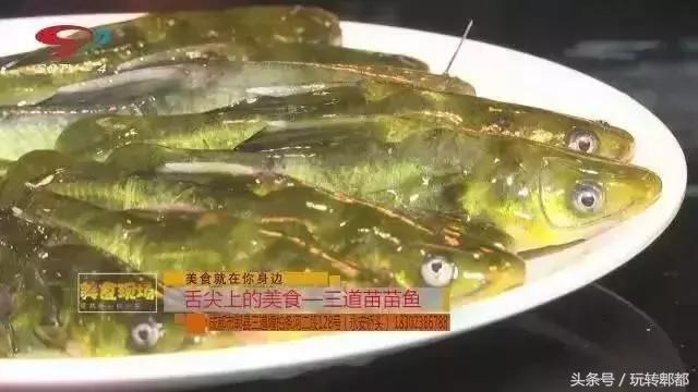 吃遍重庆50家鱼摆摆,吃遍成都50家鱼摆摆