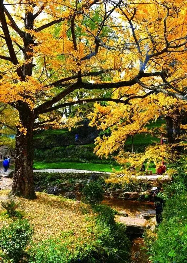 太精辟！一句话形容贵州88区县，看到自己的家乡笑死了！哈哈哈