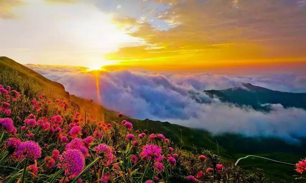 太精辟！一句话形容贵州88区县，看到自己的家乡笑死了！哈哈哈