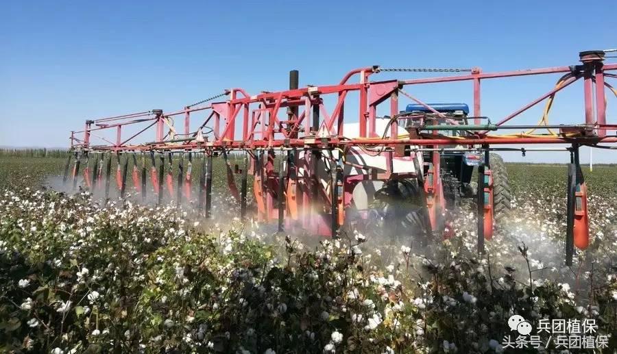 乙烯利催熟剂西瓜专用,乙烯利催熟棉花温度