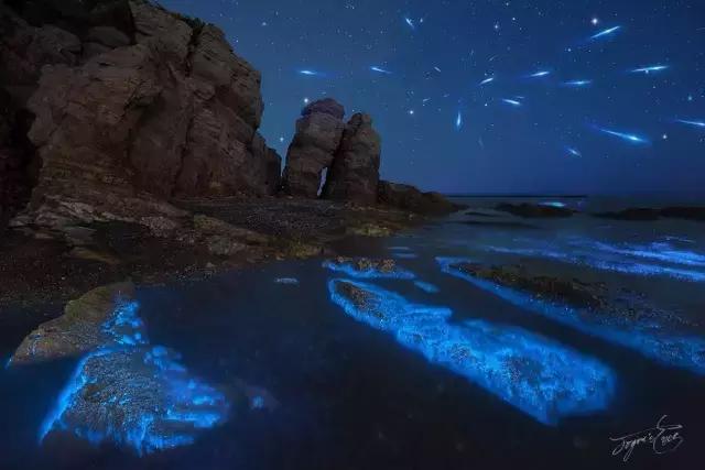 国内看荧光海最好看的地方,世界上最梦幻的荧光海