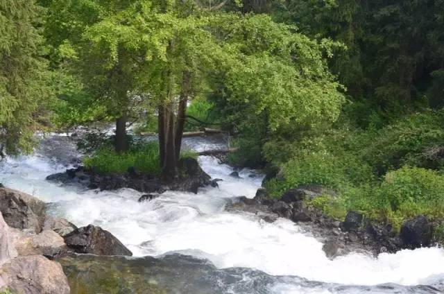 老爷子陪老伴穷游,带着老伴穷游