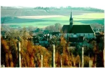 朱卫东葡萄酒品种,葡萄酒的酿造和品鉴心得体会