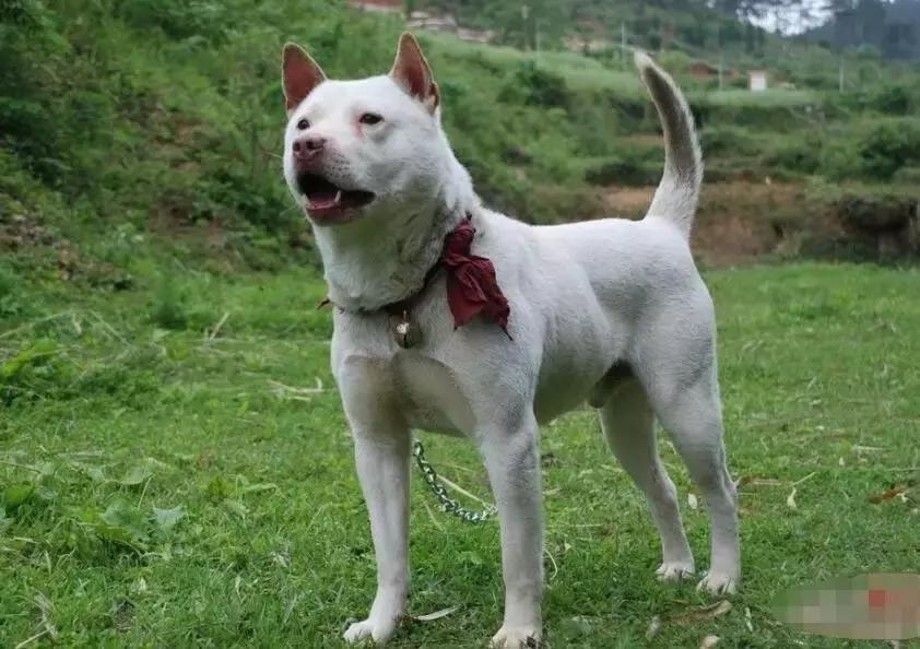 太精辟！一句话形容贵州88区县，看到自己的家乡笑死了！哈哈哈