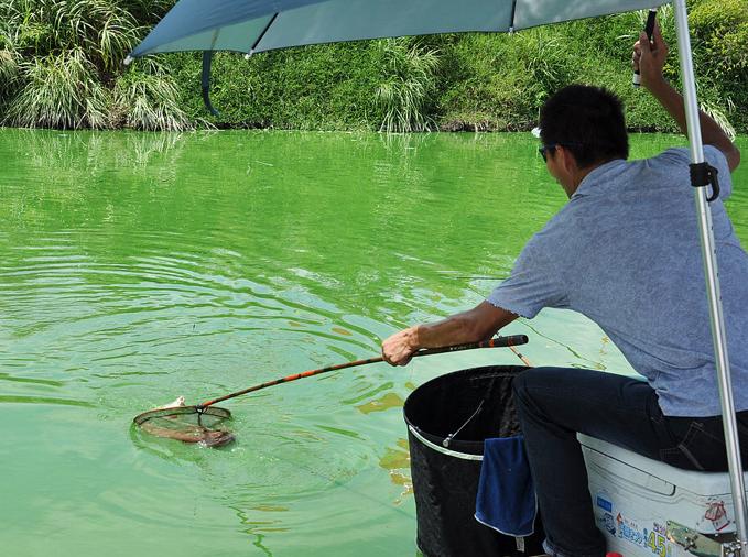 合适晚秋冬季钓鱼的饵料,入秋钓鱼饵料