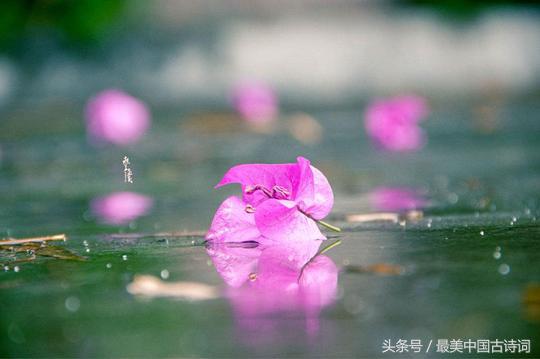 唐伯虎书法长卷落花诗册完全,唐伯虎的落花诗册有多少个字