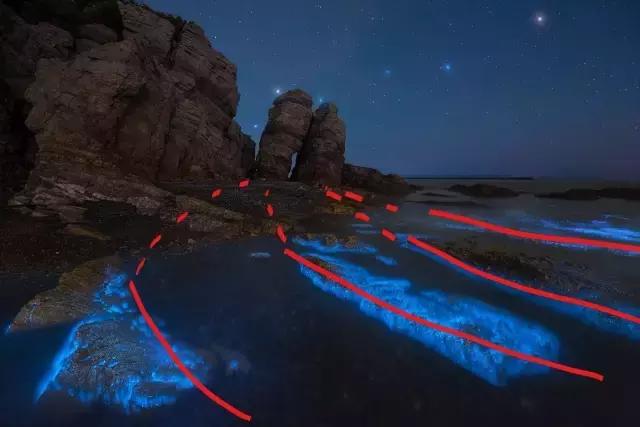 国内看荧光海最好看的地方,世界上最梦幻的荧光海