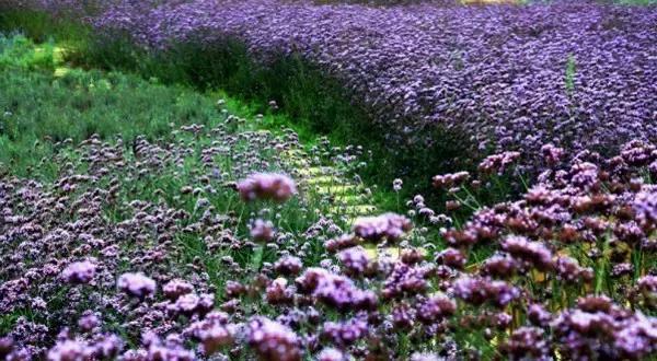太精辟！一句话形容贵州88区县，看到自己的家乡笑死了！哈哈哈
