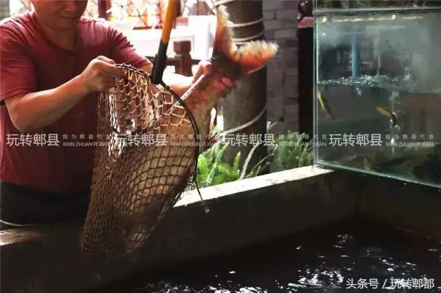 吃遍重庆50家鱼摆摆,吃遍成都50家鱼摆摆