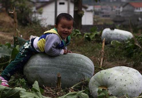 脚气怎么治效果最好寻求秘方,治脚气脚痒脚烂最有效的方法秘方