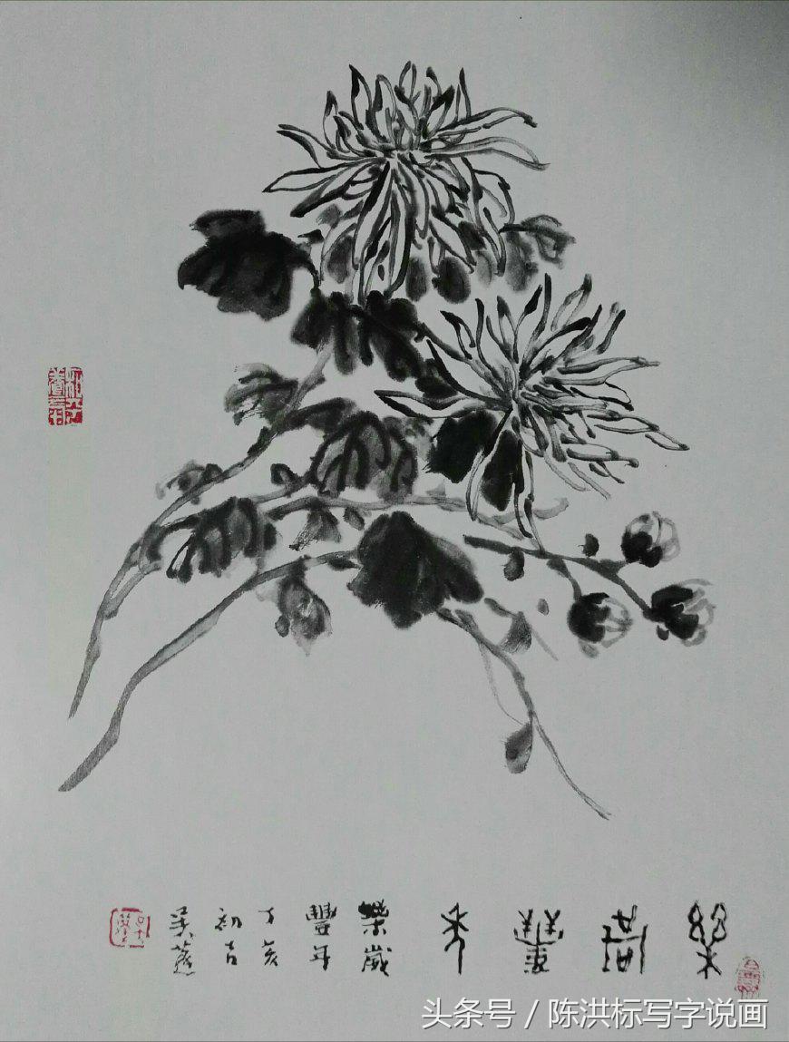 国画水墨菊花的画法和步骤,名家画菊花的技法