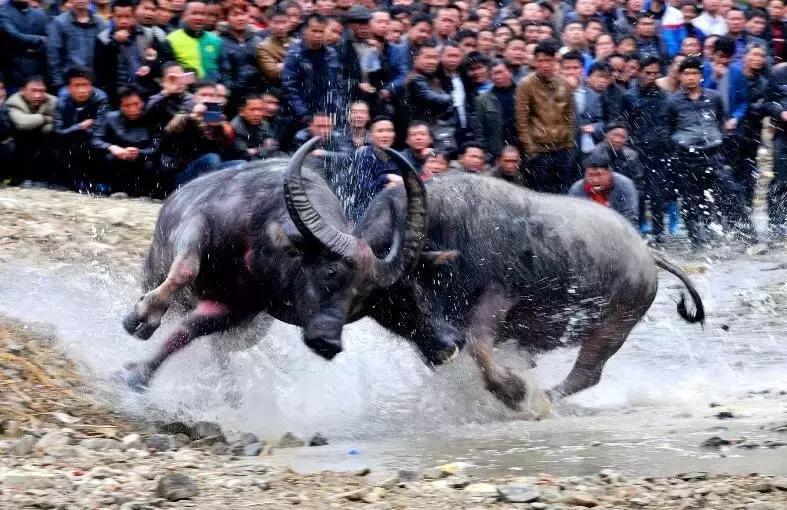 太精辟！一句话形容贵州88区县，看到自己的家乡笑死了！哈哈哈