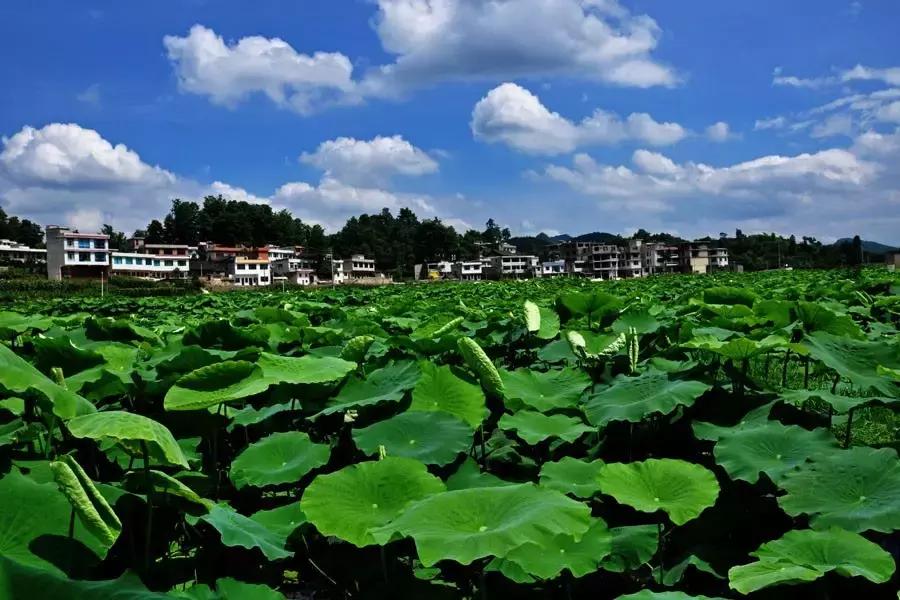 太精辟！一句话形容贵州88区县，看到自己的家乡笑死了！哈哈哈