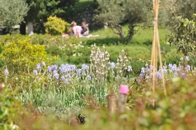 法国香水小镇在哪里,法国原装进口香水香奈儿