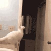 没办法啊打又打不过，只能用淫荡的微笑来缓解尴尬