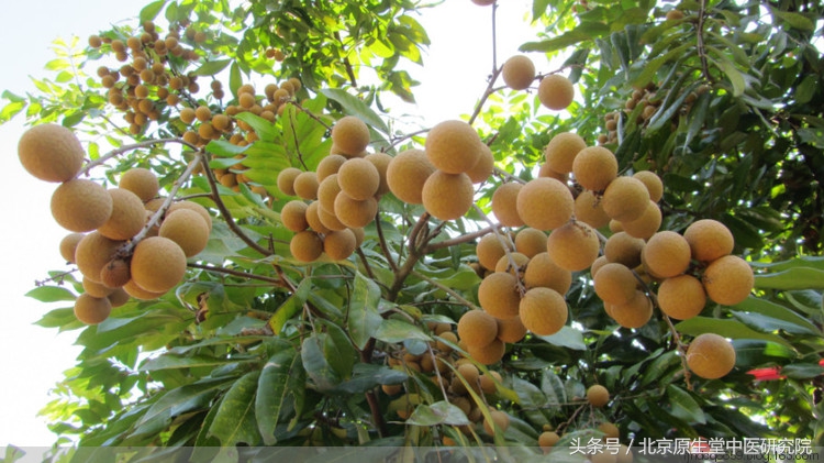 夜读二十四节气之白露,二十四节气白露高清图
