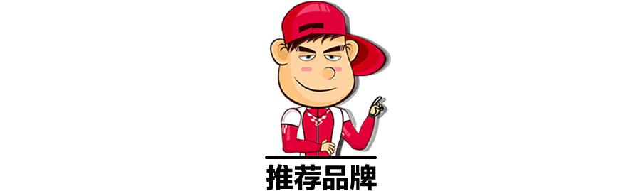 选择汽油添加剂,汽油添加剂十大品牌