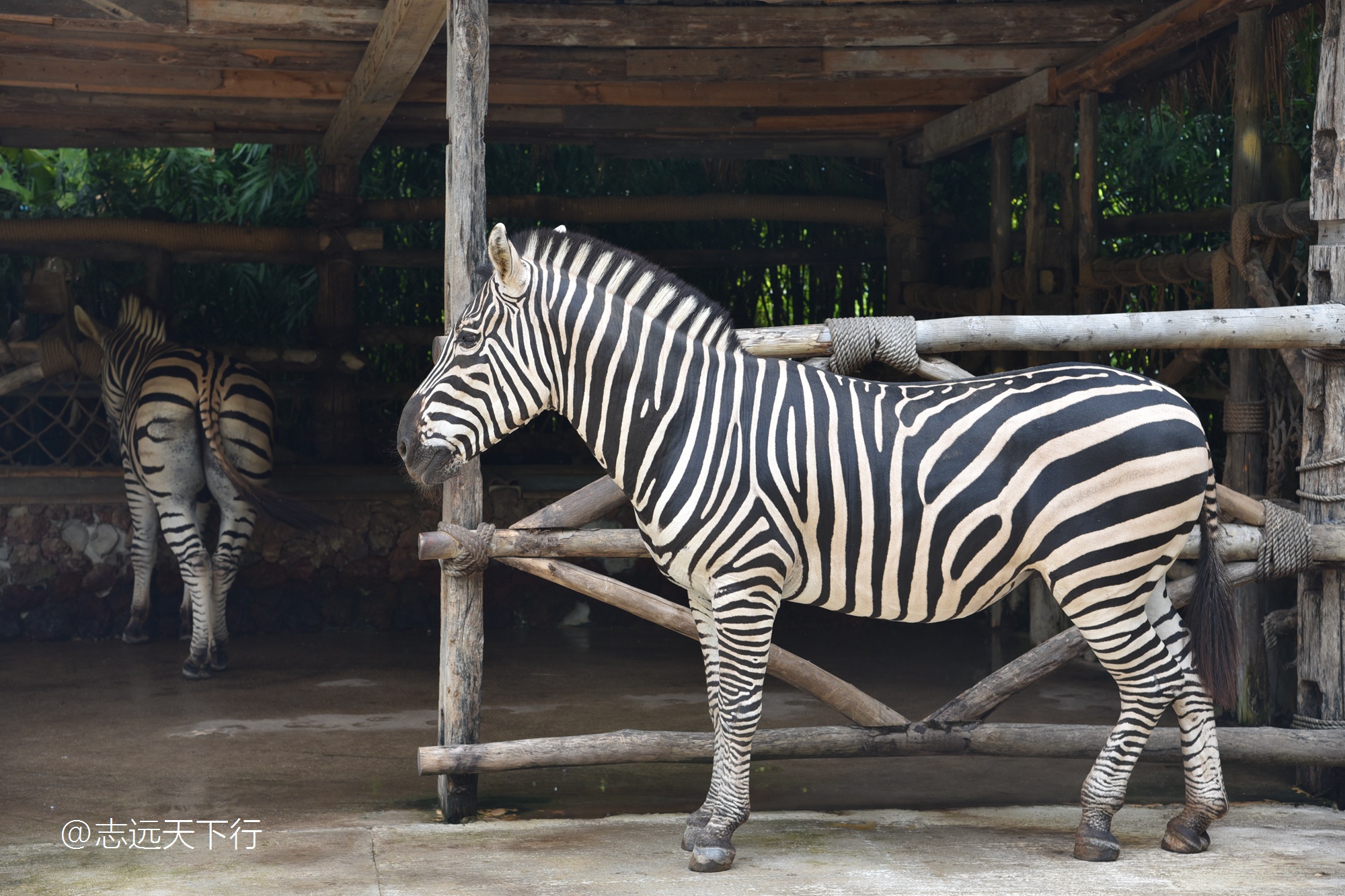 三亚最值得小朋友去的地方,三亚美景小孩最喜欢玩的地方