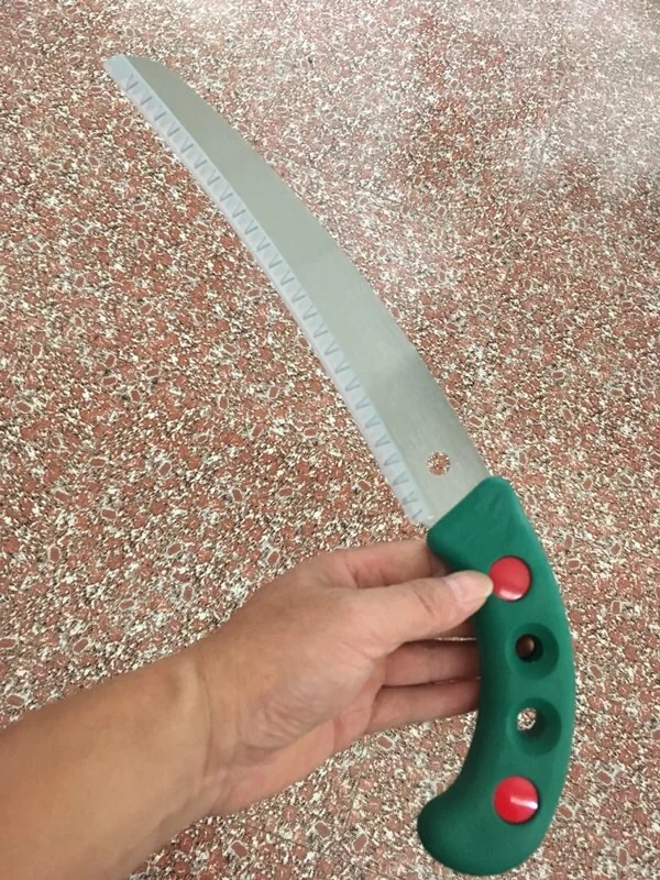 做盆景挖树桩什么时间好,挖树桩什么时候做盆景好