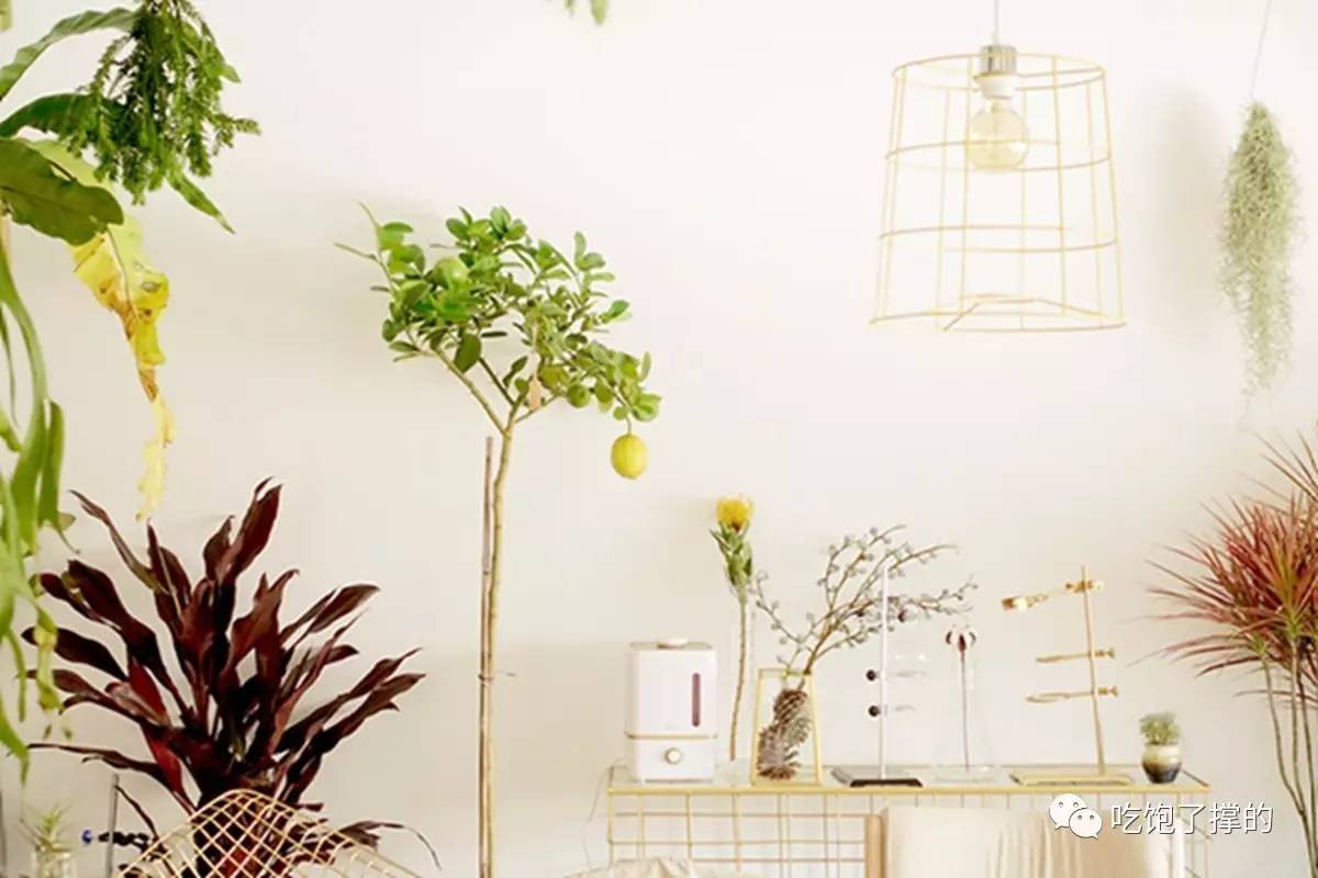 轻奢小众高级花店,有文艺气息的花店