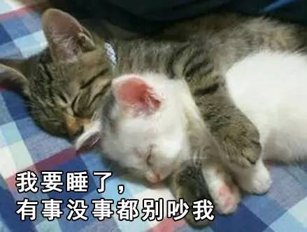 石家庄99%人的上班状态，最后一个说到心坎里了！