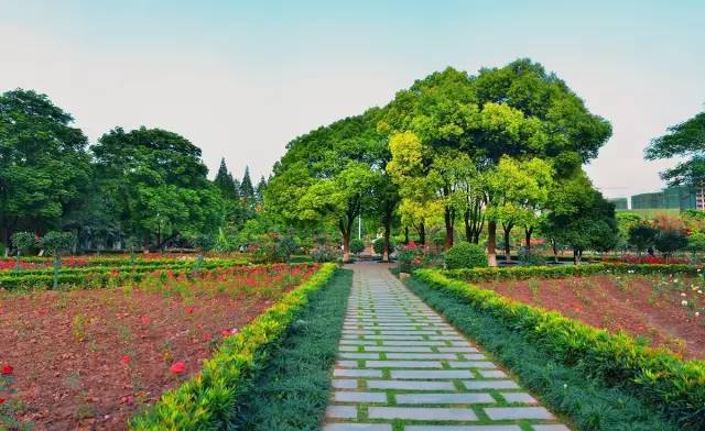 上海支持非沪籍单身人士购房,非沪籍落户上海最新政策