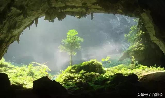 唯一一处不会得癌症的地方,一个从来没有人得过癌症的村子