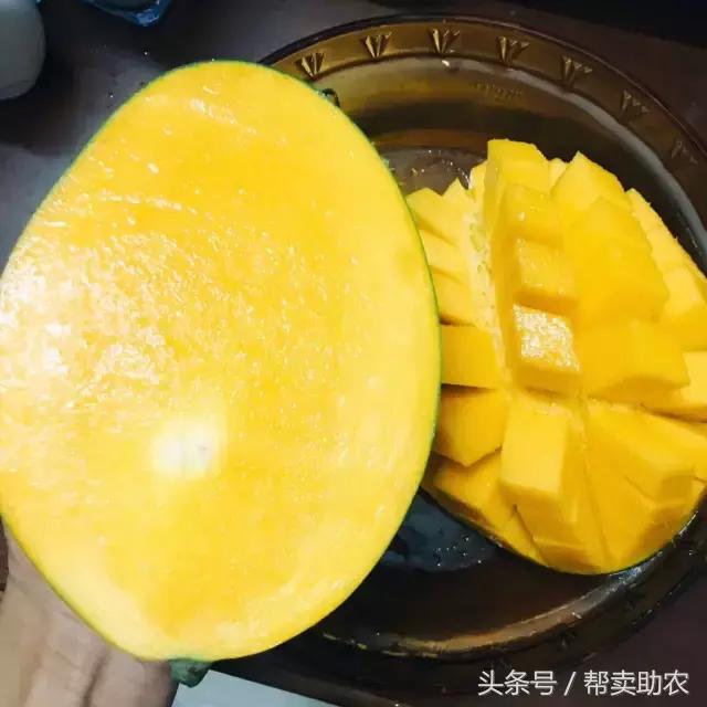 这个教师节，我要送芒果界的“巨无霸”