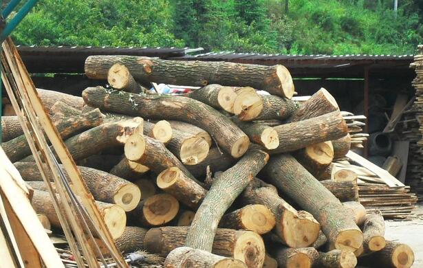 红椿木地板安装效果,红椿木做床有忌讳吗