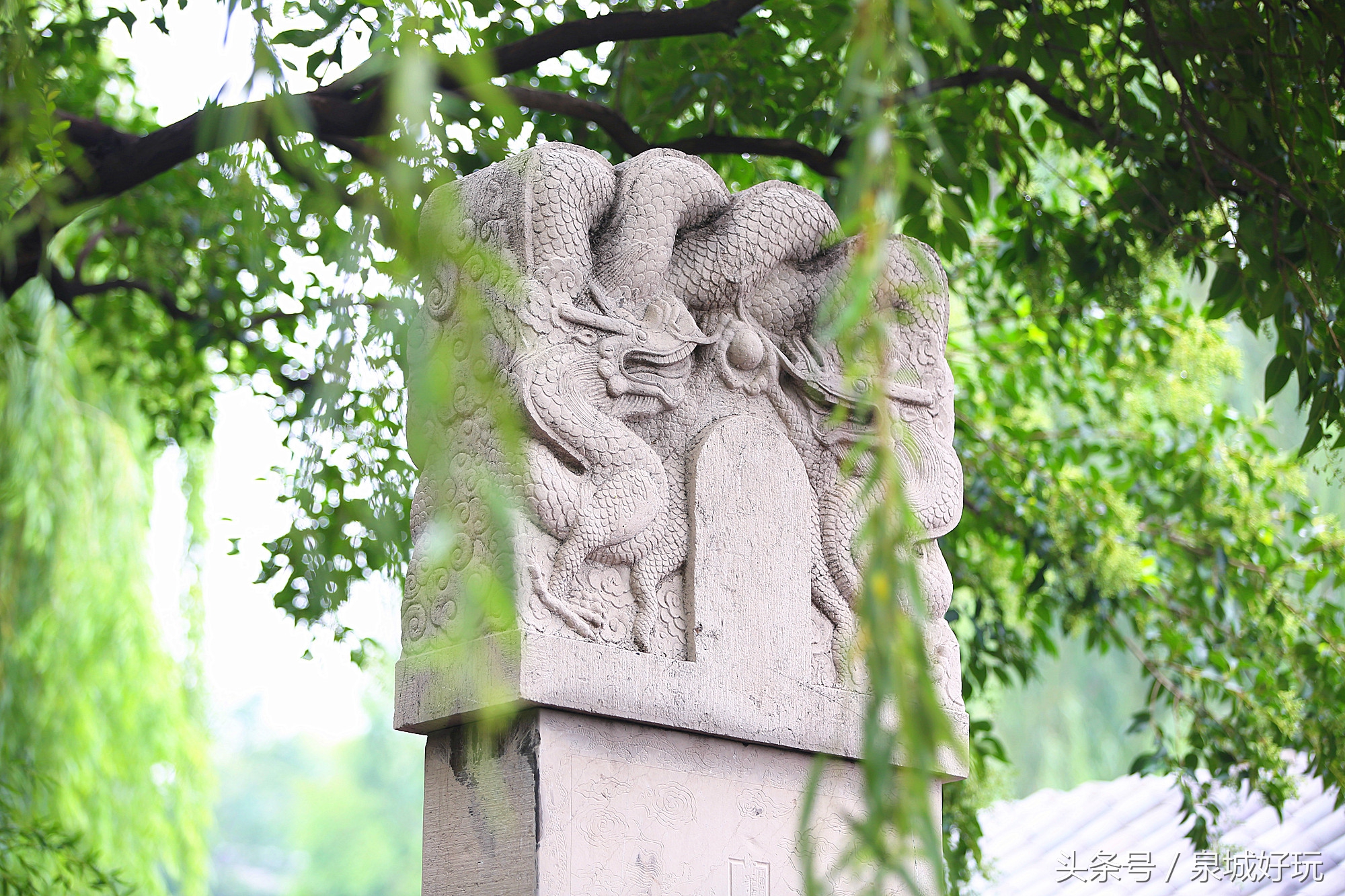 济南教师医护人员免费玩的景点,济南学生能够免费进入的景区