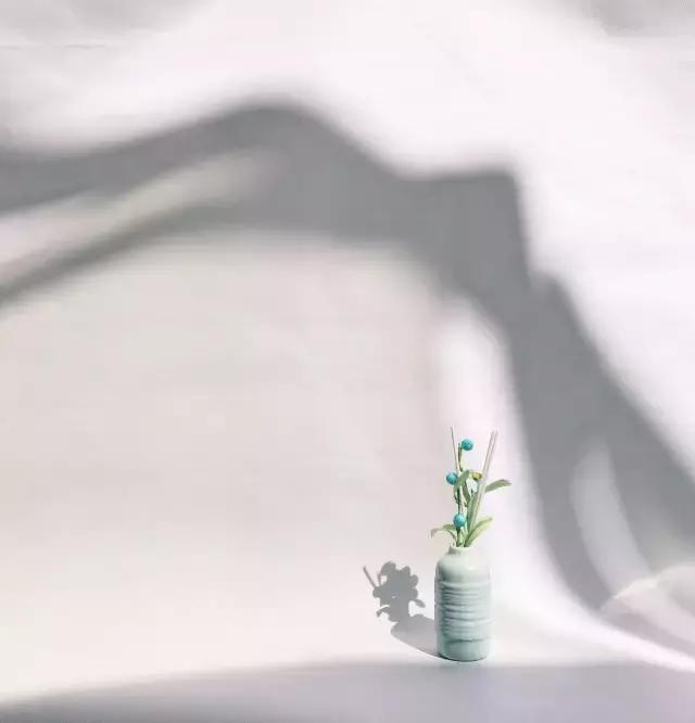 手机零基础入门学摄影,手机从零开始学摄影教程