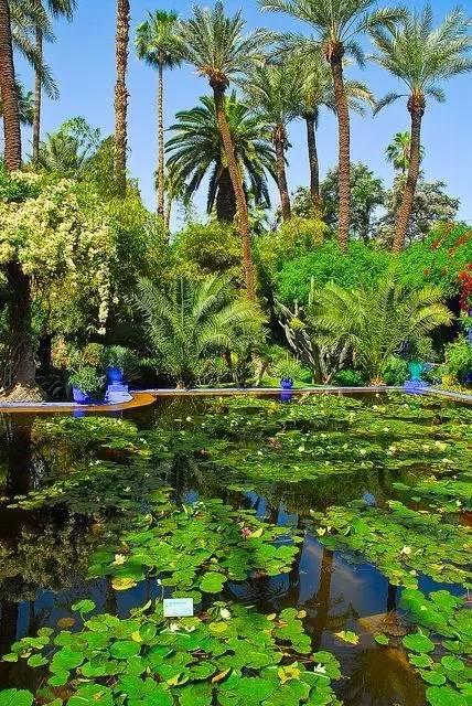 ysl时装视频,2024春夏时装秀ysl