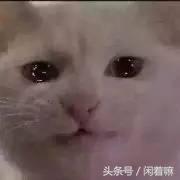 世界上稀奇古怪的网站,全球有什么有趣的网站