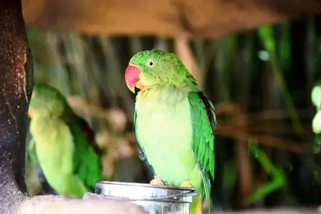 三亚最值得小朋友去的地方,三亚美景小孩最喜欢玩的地方