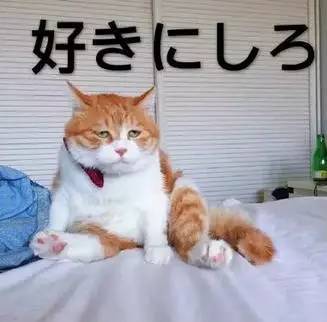 日本必买美妆好物推荐,东京购物必买的美妆