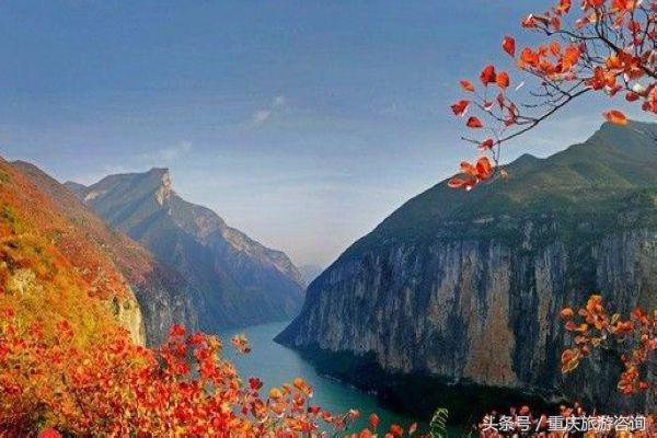 重庆主城区哪里能够看红叶,重庆看红叶哪个景点更好玩