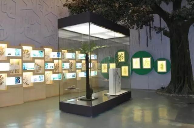 广州景点免费游玩全攻略,广州景点大全免费合适自驾游