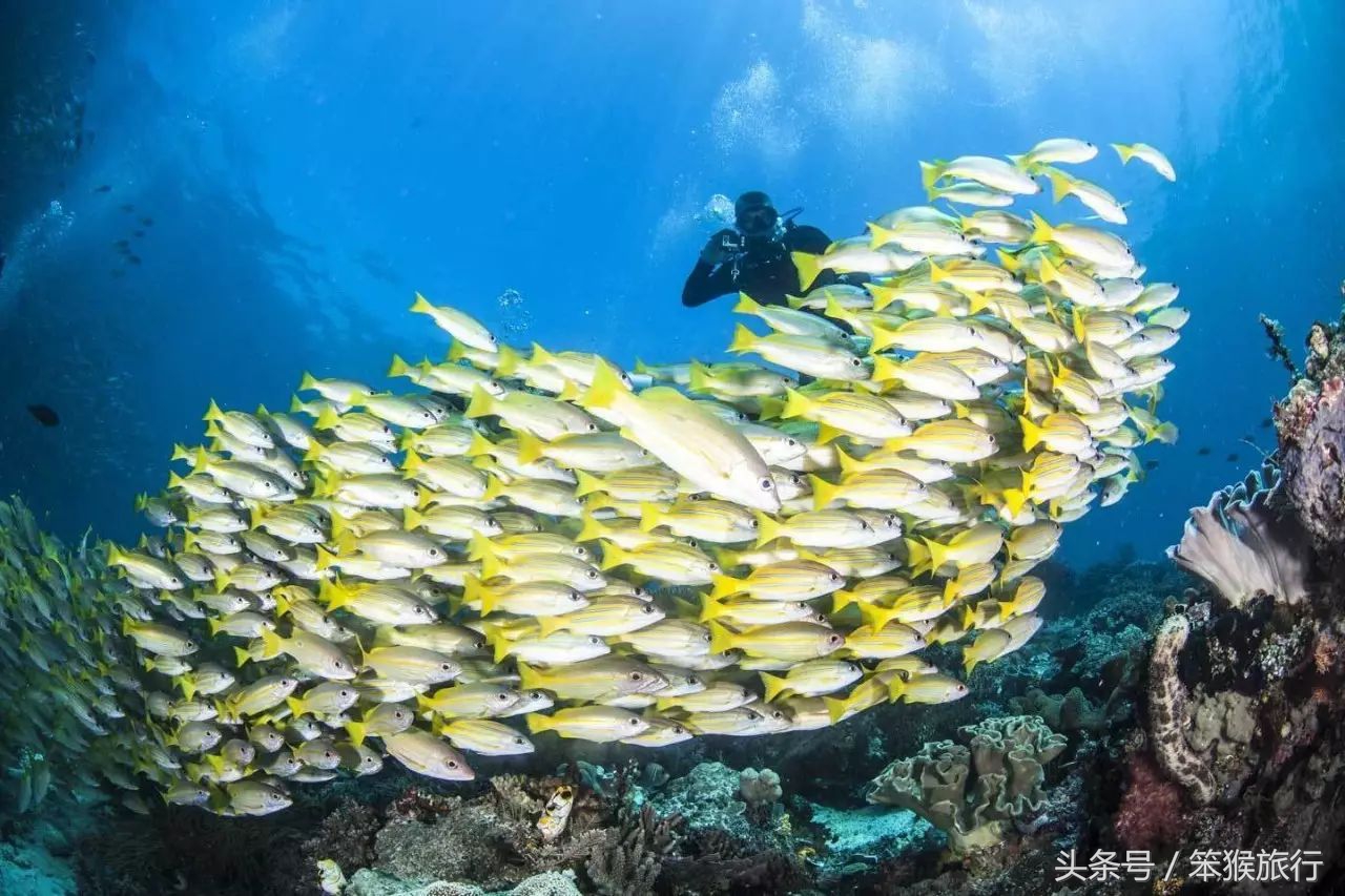 合适潜水的东南亚海岛,能够免签的冷门海岛