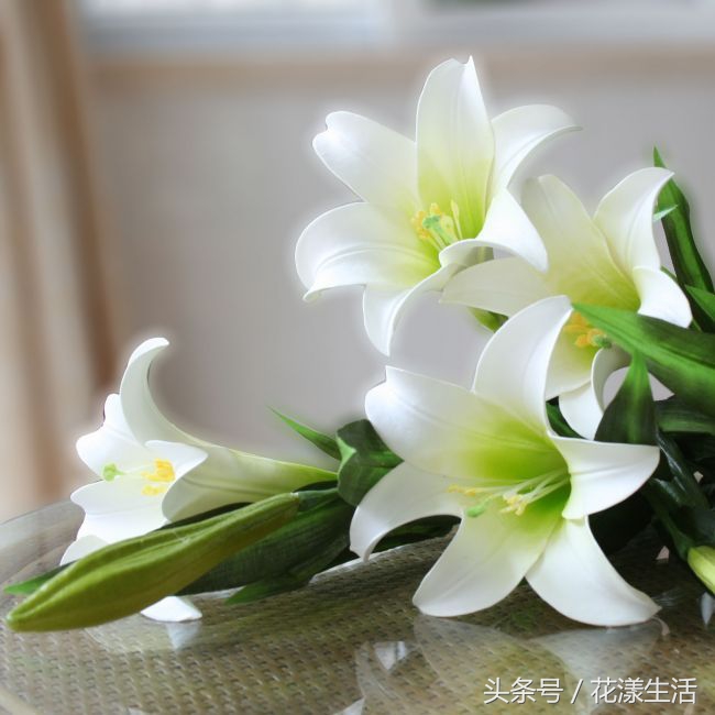教师节送男老师什么颜色的花,教师节晚上送老师花为啥不要