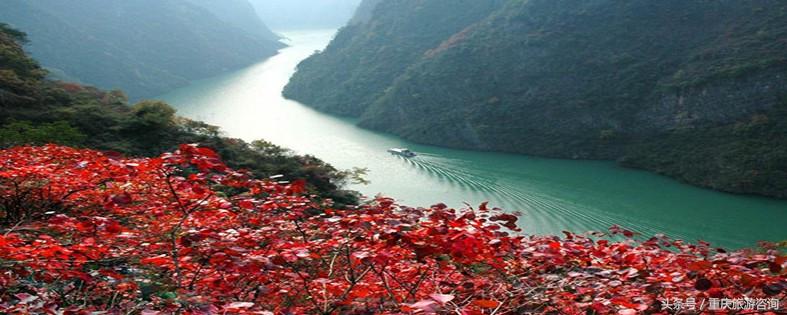 重庆主城区哪里能够看红叶,重庆看红叶哪个景点更好玩