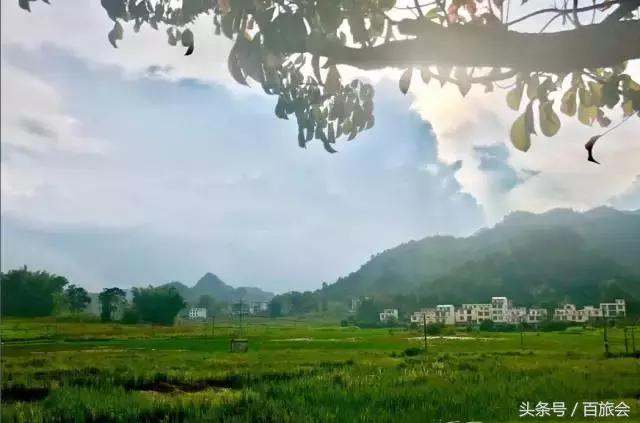 唯一一处不会得癌症的地方,一个从来没有人得过癌症的村子