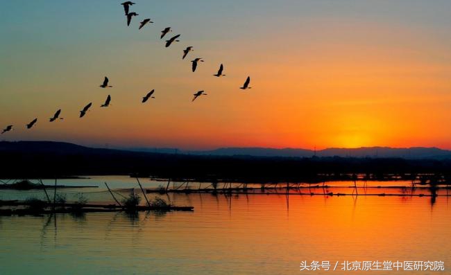 夜读二十四节气之白露,二十四节气白露高清图
