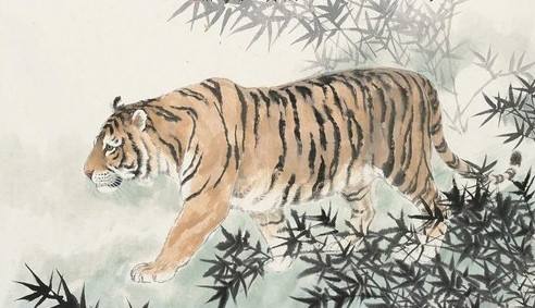 属虎的出生年属相婚配大全,属虎人与什么属相最配