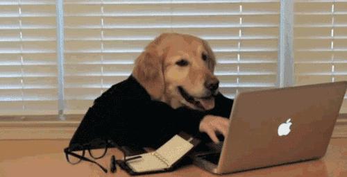 石家庄99%人的上班状态，最后一个说到心坎里了！