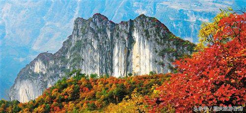 重庆主城区哪里能够看红叶,重庆看红叶哪个景点更好玩