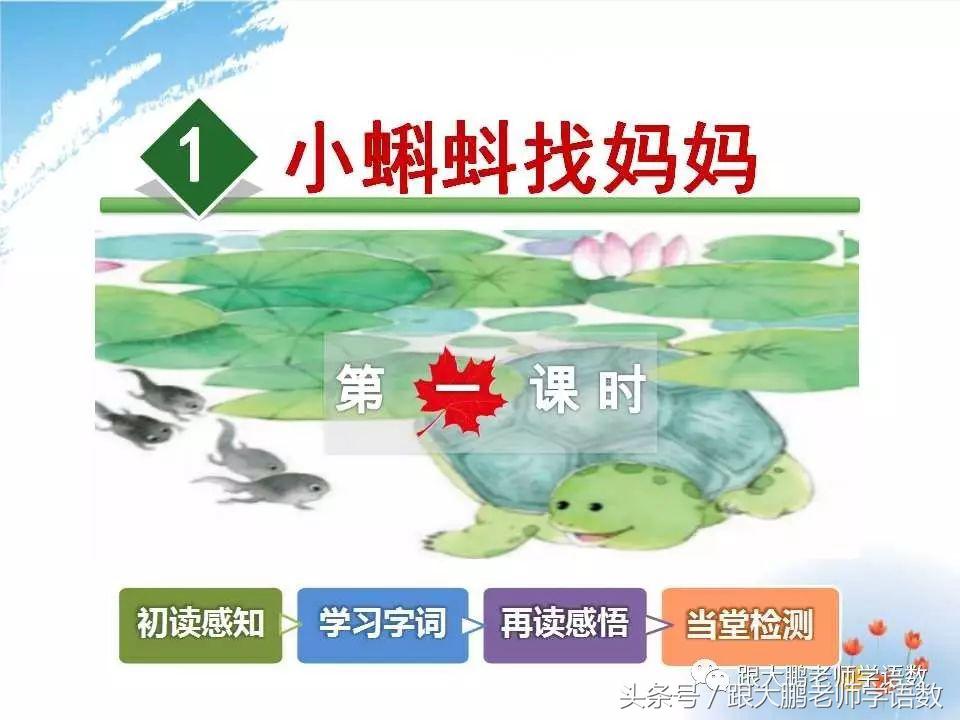 小蝌蚪找妈妈故事音频,部编二年级小蝌蚪找妈妈课文